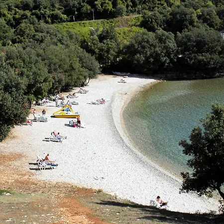 Family Friendly House With A Swimming Pool Pavicini, Marcana - 7312 *